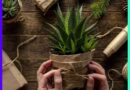 14 Gifts Ideas for Plant Lovers That Go Above and Beyond More Plants